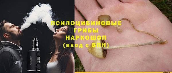 mix Аркадак