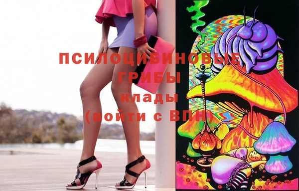 гашишное масло Новодвинск