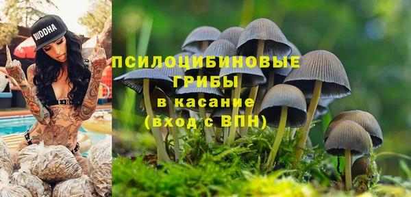 кокс Баксан
