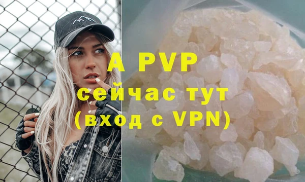 кокс Баксан