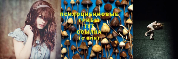 мефедрон Заводоуковск